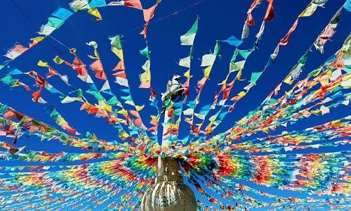 什么是种生基，种生基的原理