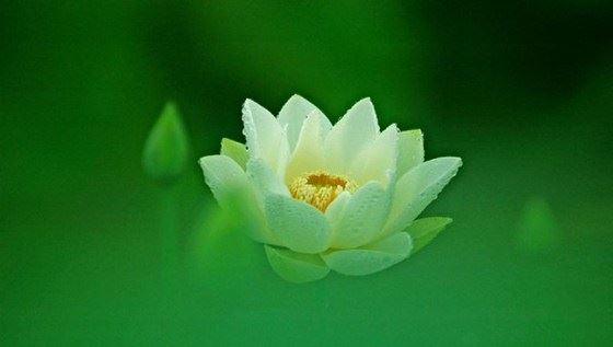 八字合婚配对几种方法 怪不得普通人看不懂